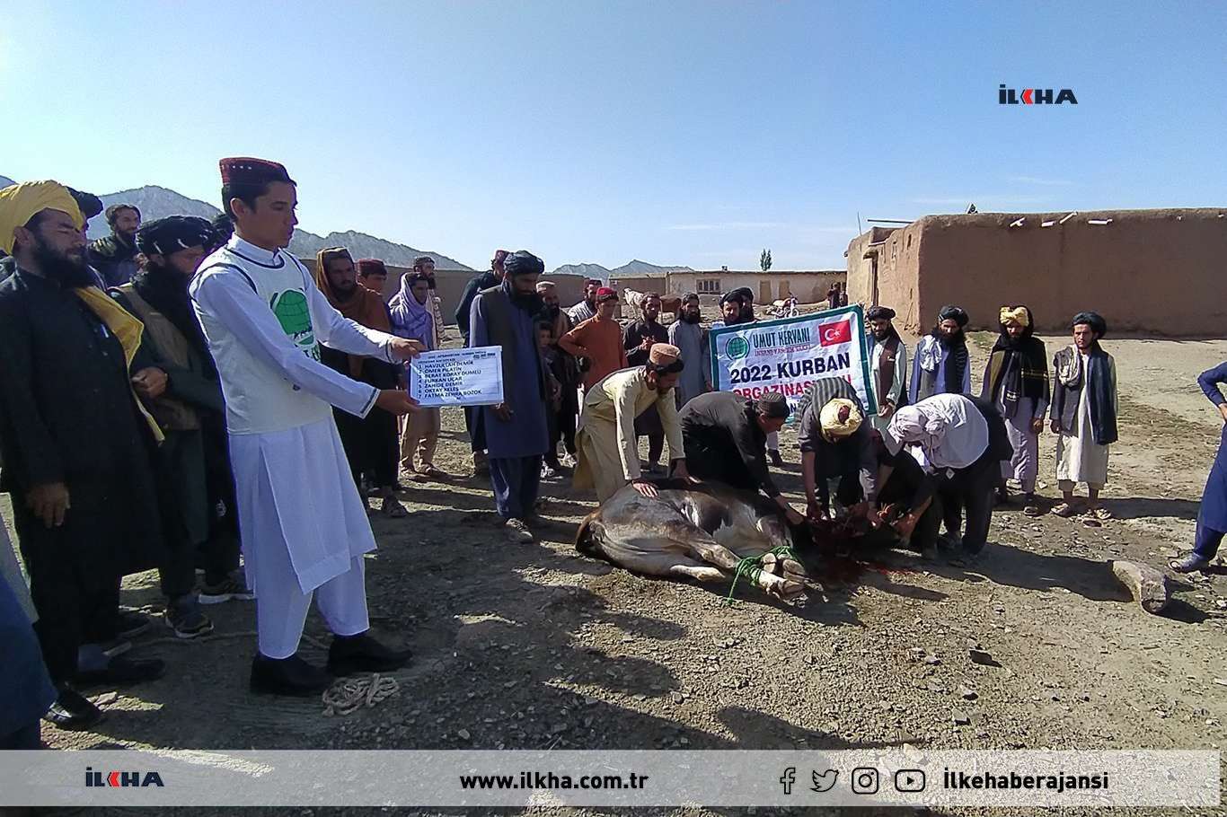 Charitable foundations distribute sacrificial meat to 45,000 families in Afghanistan